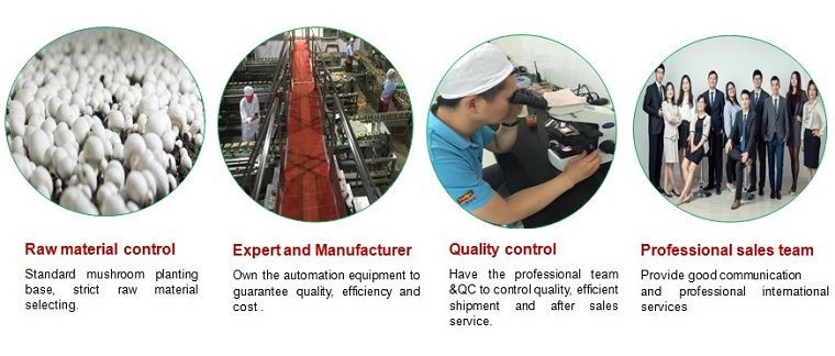 our advantages-2-1